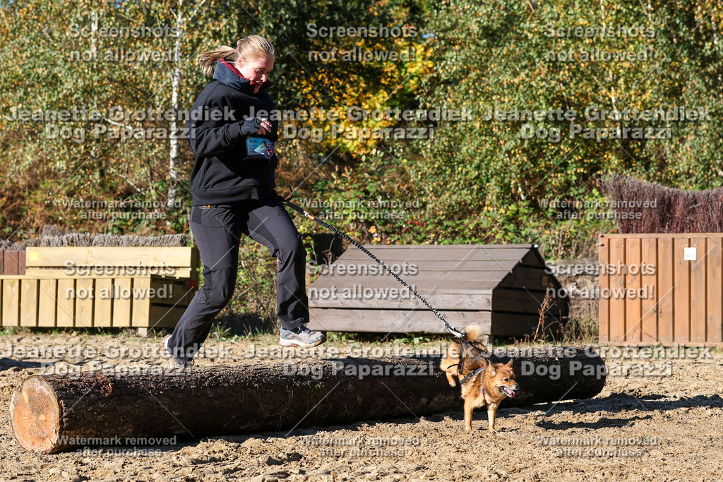Dog Paparazzi - Strongdog 10-25-2083 | Dog Paparazzi Jeanette Grottendiek Fotografie & Videografie