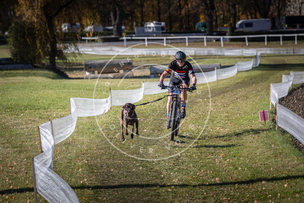 CaniXpix_DV3A6416 | Hundefotografie, Tierfotograf, Pfotenfotografie, Fotoshooting Hund, Hunde Portrait, Hundesport, Hundeportraits, Heideshooting, Hunde, Sportfotograf, Hundefotograf, Turnierhundsport, THS,  - Realisiert mit Pictrs.com