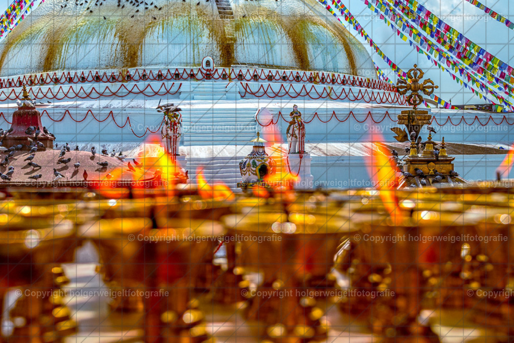 20231018090519D75_8723 | Kaufen sie online außergewöhnliche Fotografien auf Leinwand Acrylglas Fotoprint Aludibond von holgerweigeltfotografie - Realisiert mit Pictrs.com