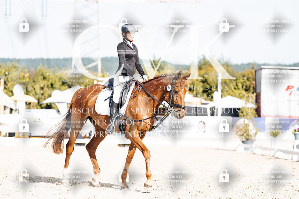 CK905462 | Turnierfotografie Pferdefotografie Trier Rheinland-Pfalz Pferdesport Reitsport Tierfotografie Sportfotografie Pferdevideo Pferdevideografie Equestrianvideography equestrianphotography  - Realisiert mit Pictrs.com