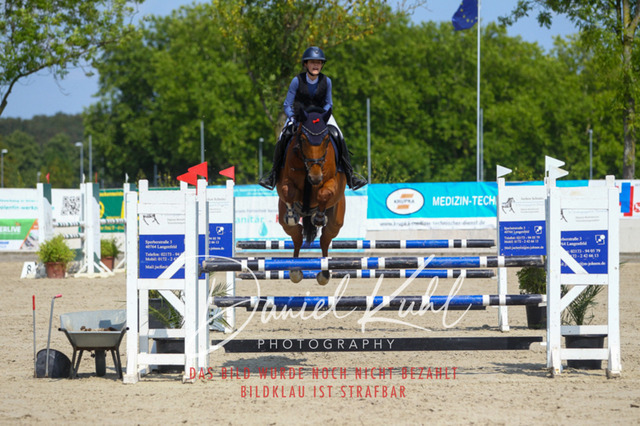 Gut Blee25_Amateuer Stilsprpfg Kl L_0297 | Turniersportfotografie; Pferdefotografie; Dressurfotografie