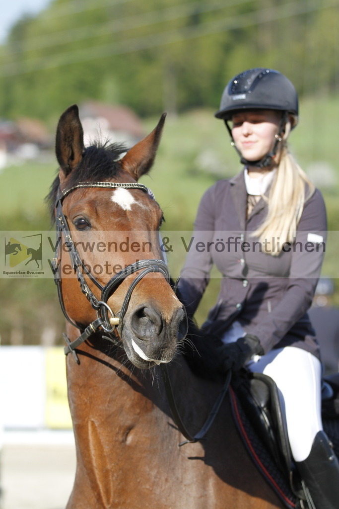_MG_8383 | equestrian-live-com
