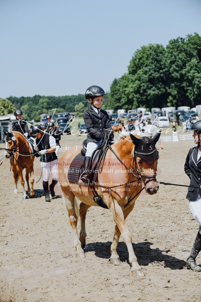 DSC_2429 | Pferde- und Turnierfotografie in Westsachsen. Pferdeportraits, Auftragszeichnungen und intuitive Kunst.
