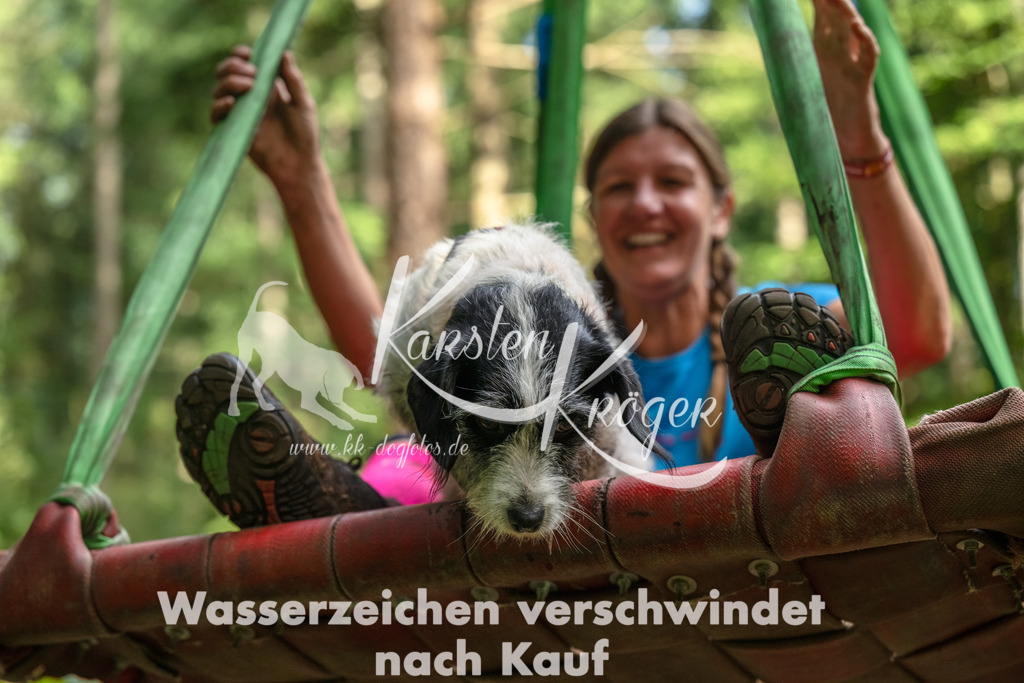 1105_ZZ94067-Bearbeitet | kk-dogfotos