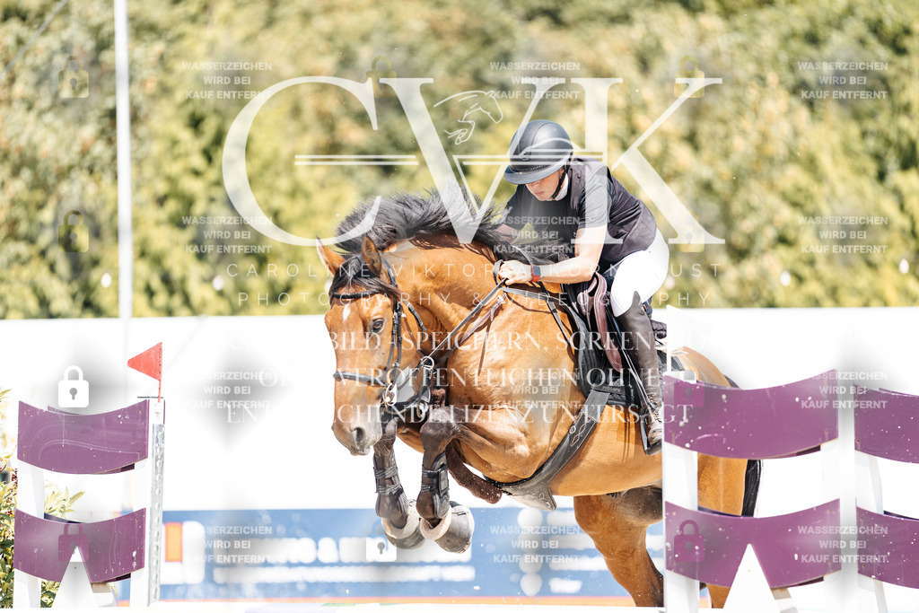 CK900569 | Turnierfotografie Pferdefotografie Trier Rheinland-Pfalz Pferdesport Reitsport Tierfotografie Sportfotografie Pferdevideo Pferdevideografie Equestrianvideography equestrianphotography  - Realisiert mit Pictrs.com