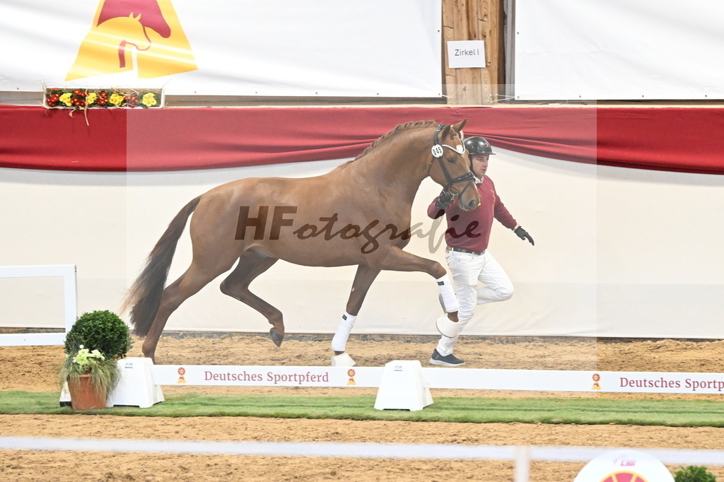 Kat.-Nr. 45 v. Escanto PS_De Vittorio und Stechele_3260361 | hf-fotografie - Realisiert mit Pictrs.com