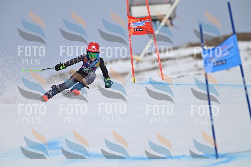 BGV_4053 | holidayphoto