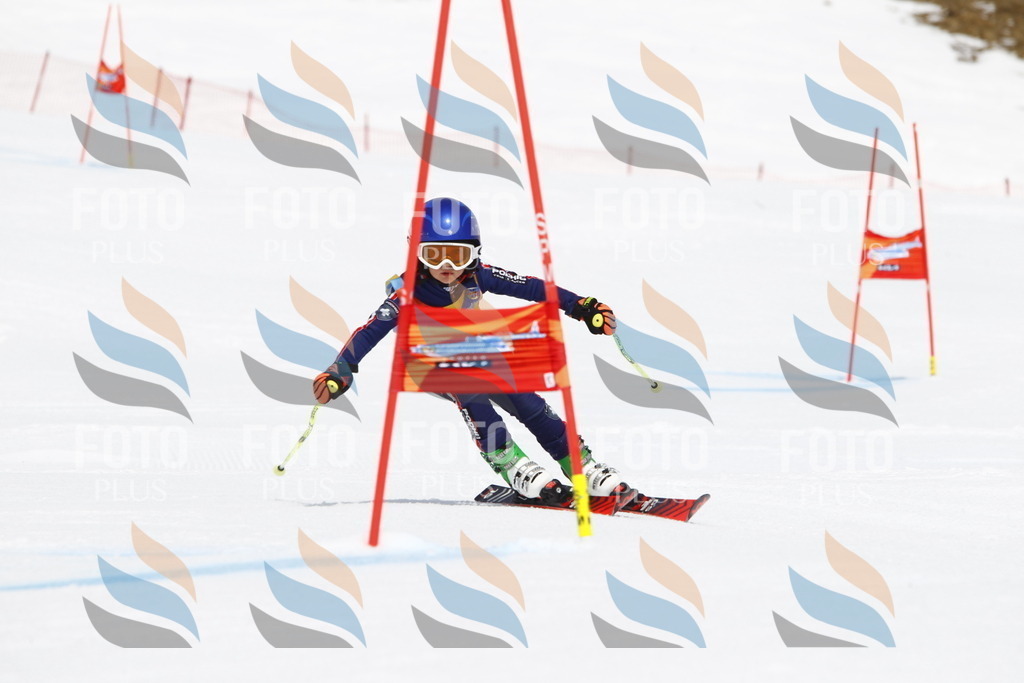 _U3G6698 | holidayphoto