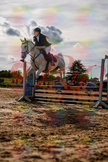 2026_10_03_Siefer-Hof_153929_Z63_08472213 | Professionelle Reitsport-, Turnier- und Eventfotografie von Robert Broda. Galerien mit ausgewählten und bearbeiteten Bildern direkt online ansehen und bestellen.