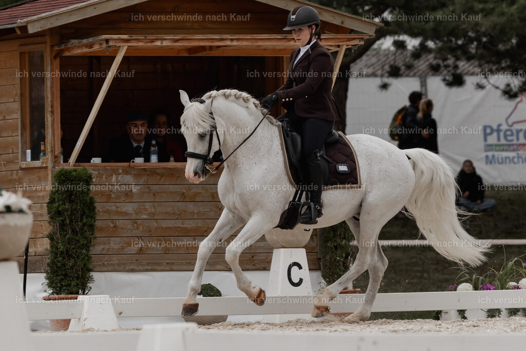 WE_DR_Stoib_318_PI2025_485 | Pferd International München 2025