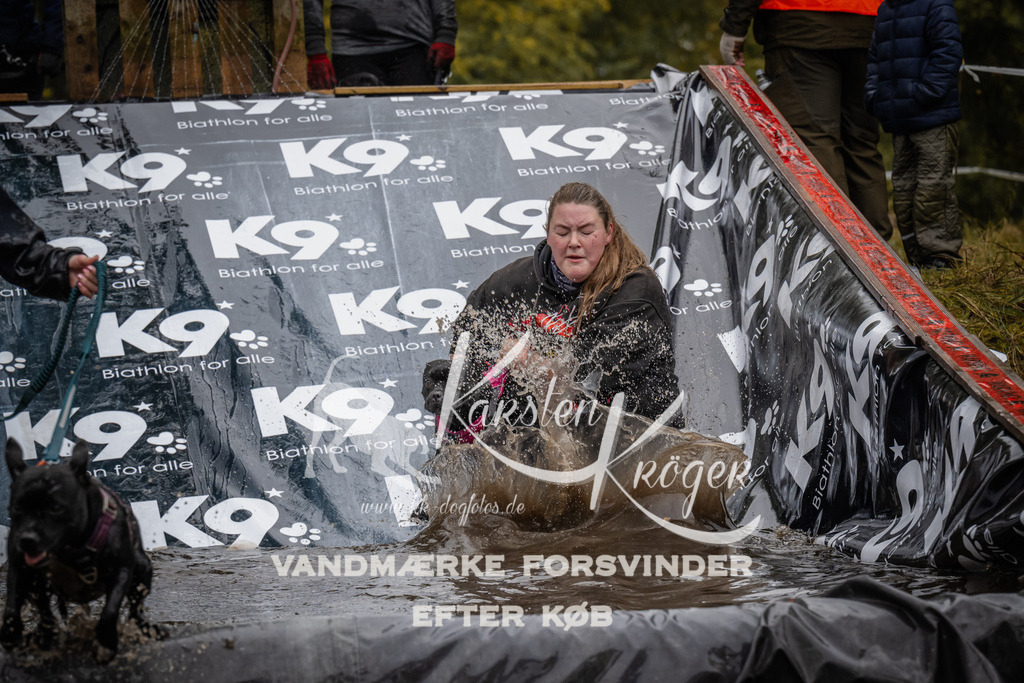 1112_ZZ92153 | kk-dogfotos
