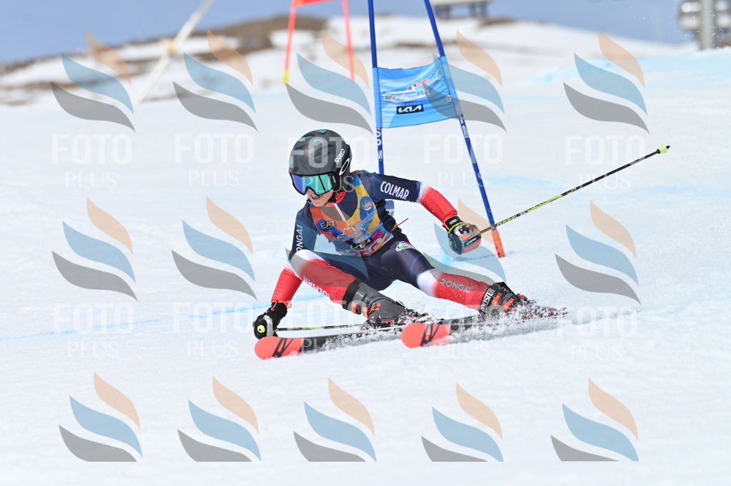 BGV_3747 | holidayphoto