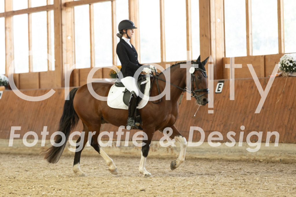 IMG_6131 | Creatify Fotografie