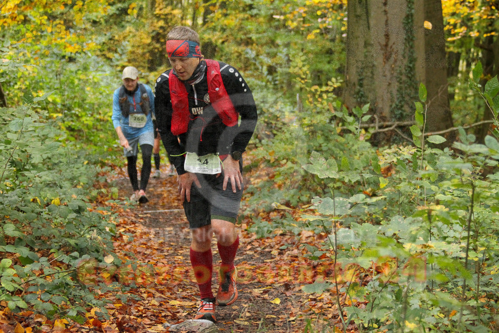 251026_1258_EV4_6211 | Sportfotografie im Rhein-Sieg Kreis, Köln, Bonn, NRW, Rheinland Pfalz, Hessen, etc. Unser Tätigkeitsfeld umfasst den Laufsport vom Volkslauf über den Marathon, Duathlon, Triathon bis zum Ultralauf wie Kölnpfad Ultra oder Schindertrail.