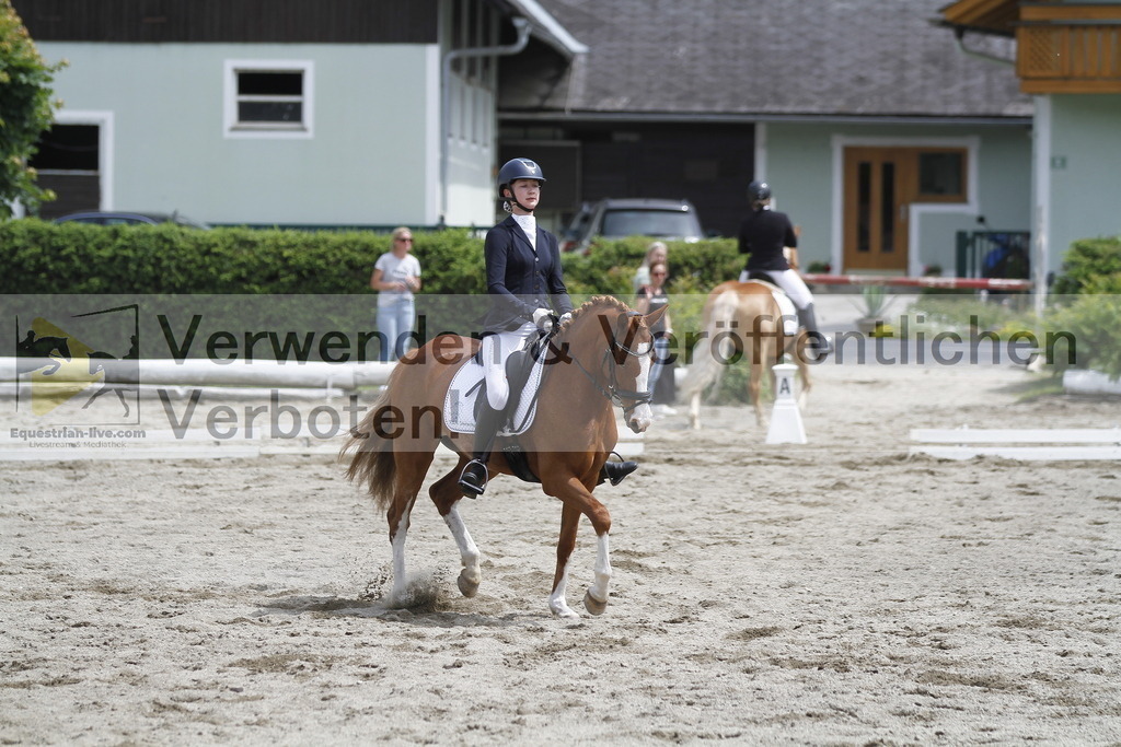 _MG_8810 | equestrian-live-com