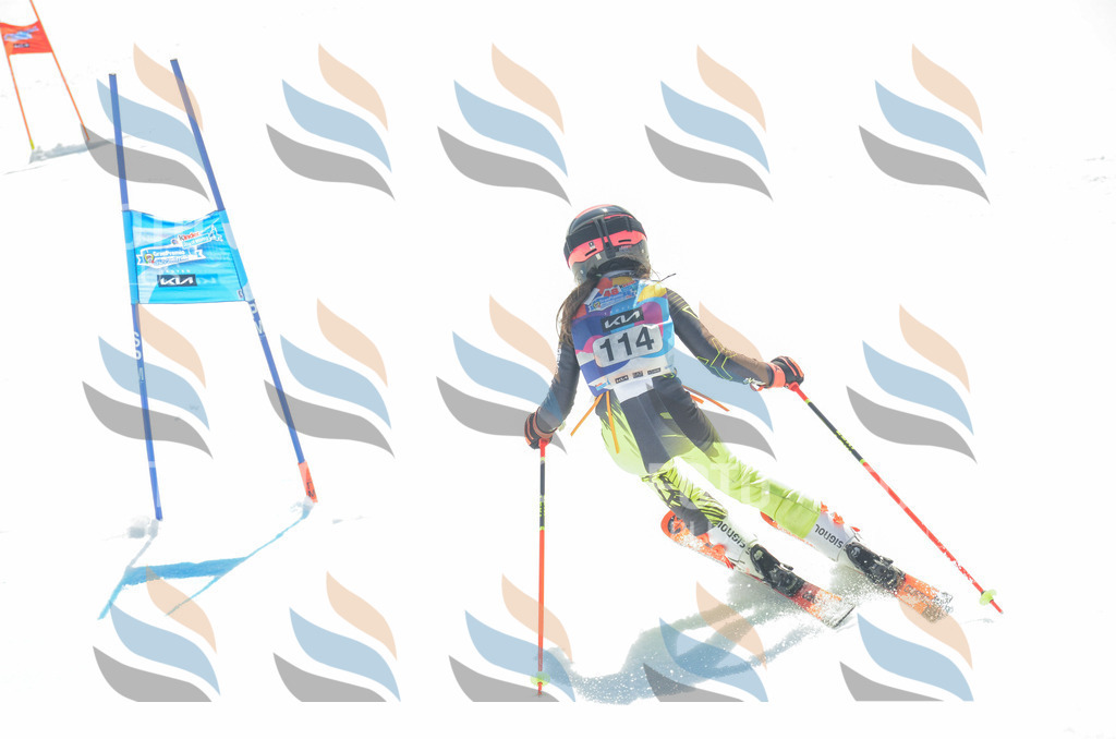 _ELE5944 | holidayphoto