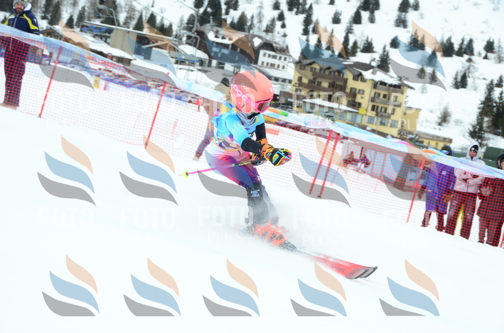 DSC_1001 | holidayphoto