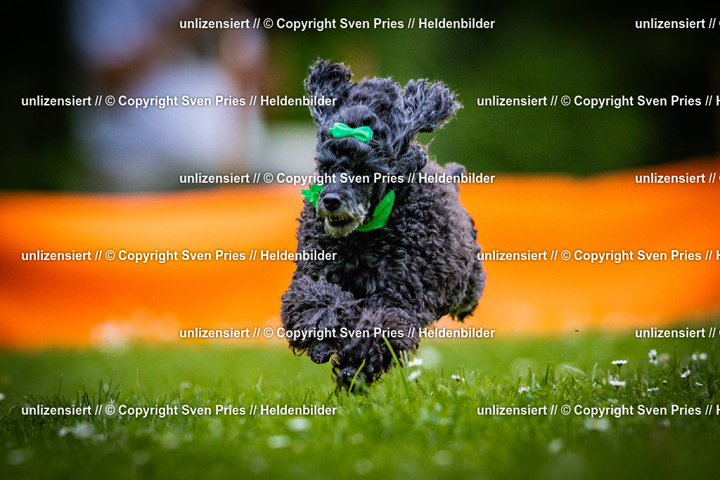 Sven Pries | 2025-05-29 - Pudelrennen KA-Durlach - Realisiert mit Pictrs.com