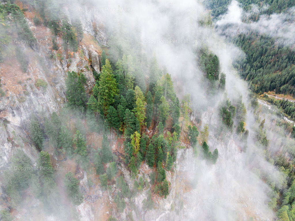 Divers_Erlebnisraum_Wald_23_Peter_Maier-868 | default
