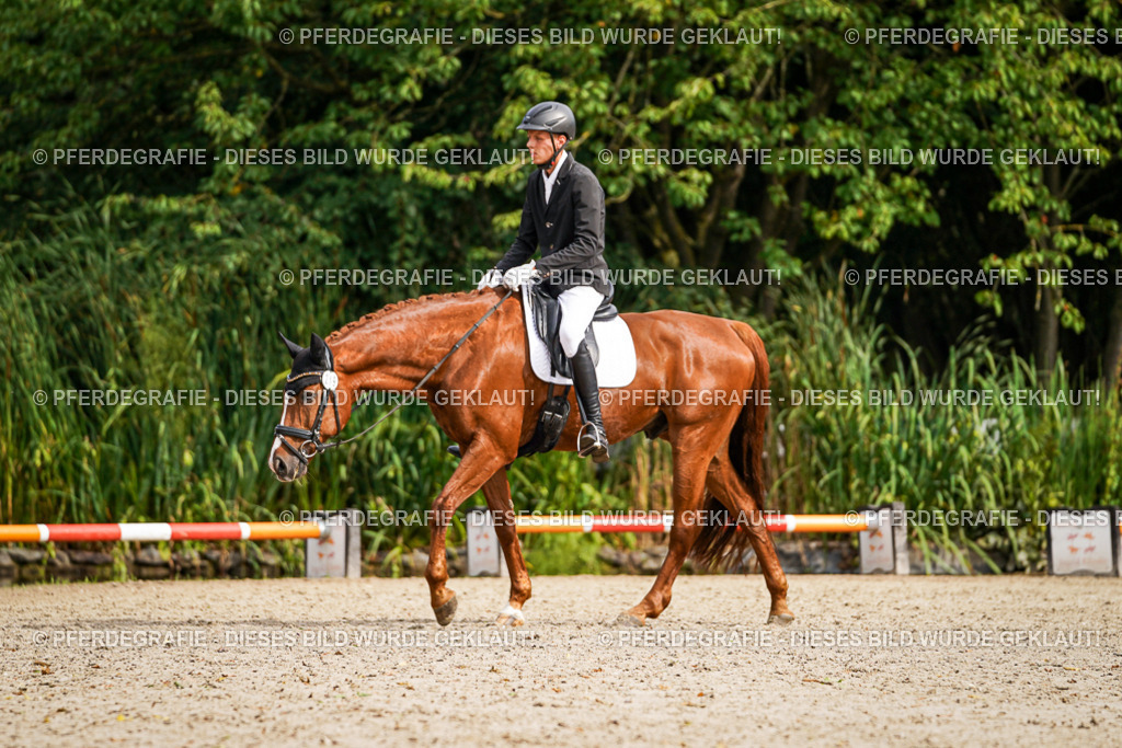 DSC01618 | Pferdegrafie