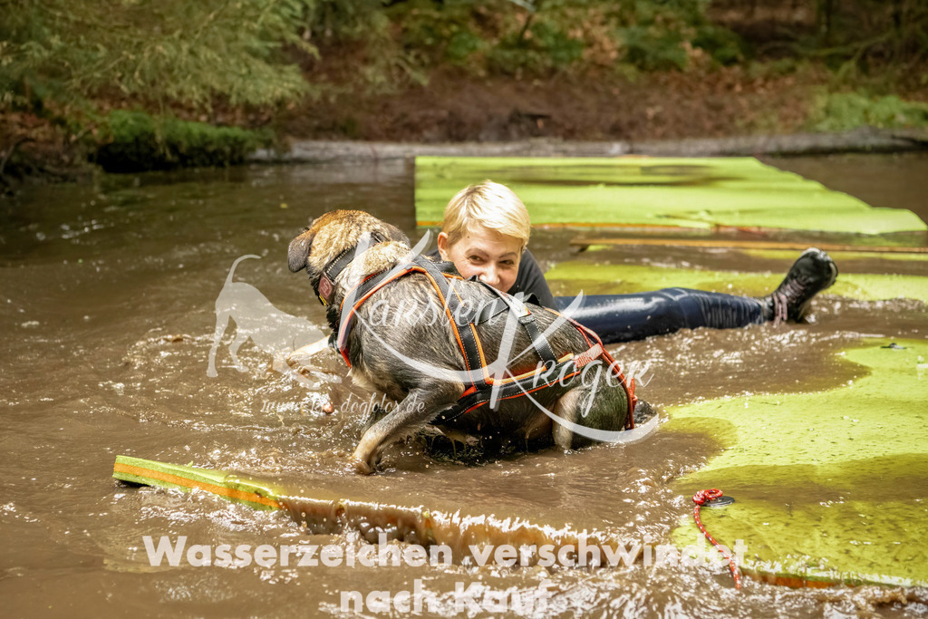 1219_ZZ93861-Bearbeitet | kk-dogfotos