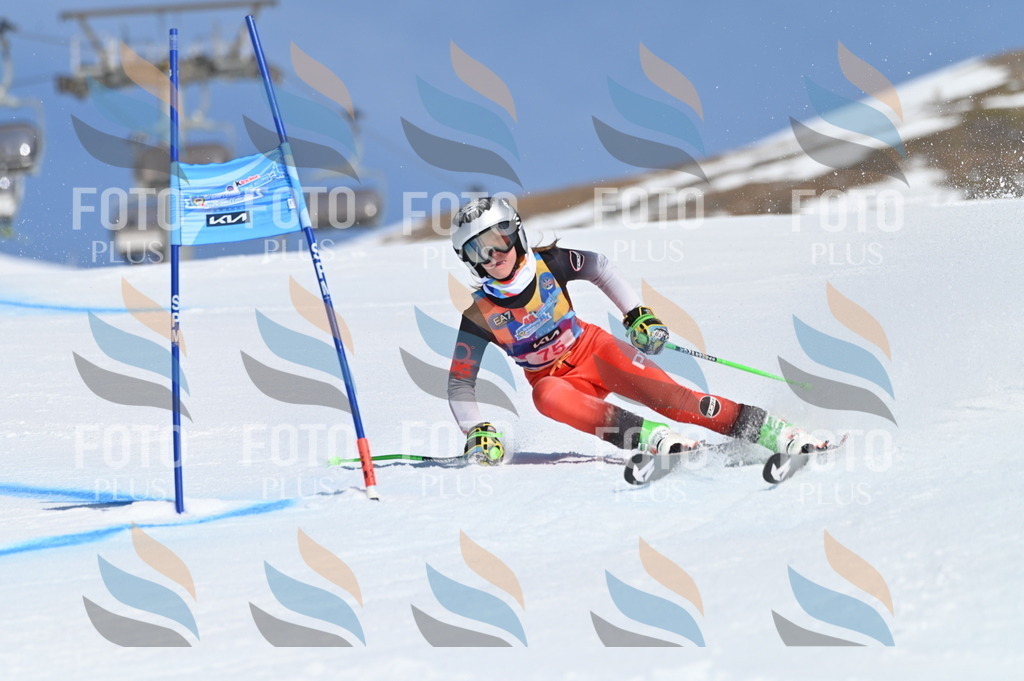 BGV_8996 | holidayphoto