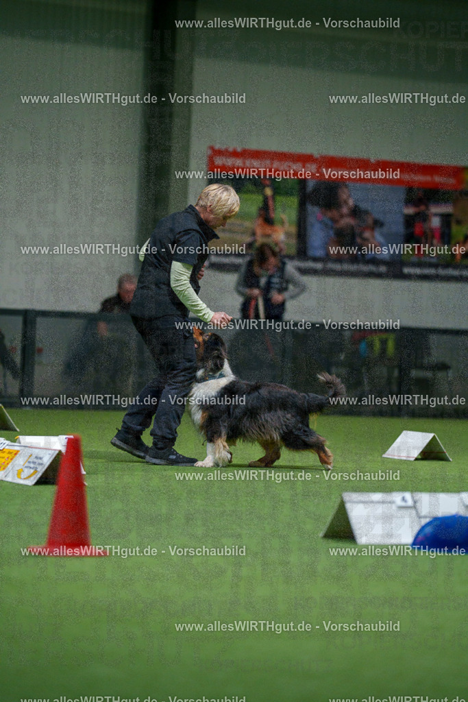 7R504261 | Professionelle Tierfotografie in Mönchengladbach von Daniel Wirth (allesWIRTHgut). Liebevolle & natürliche Bilder von Hunden & Katzen für unvergessliche Erinnerungen.