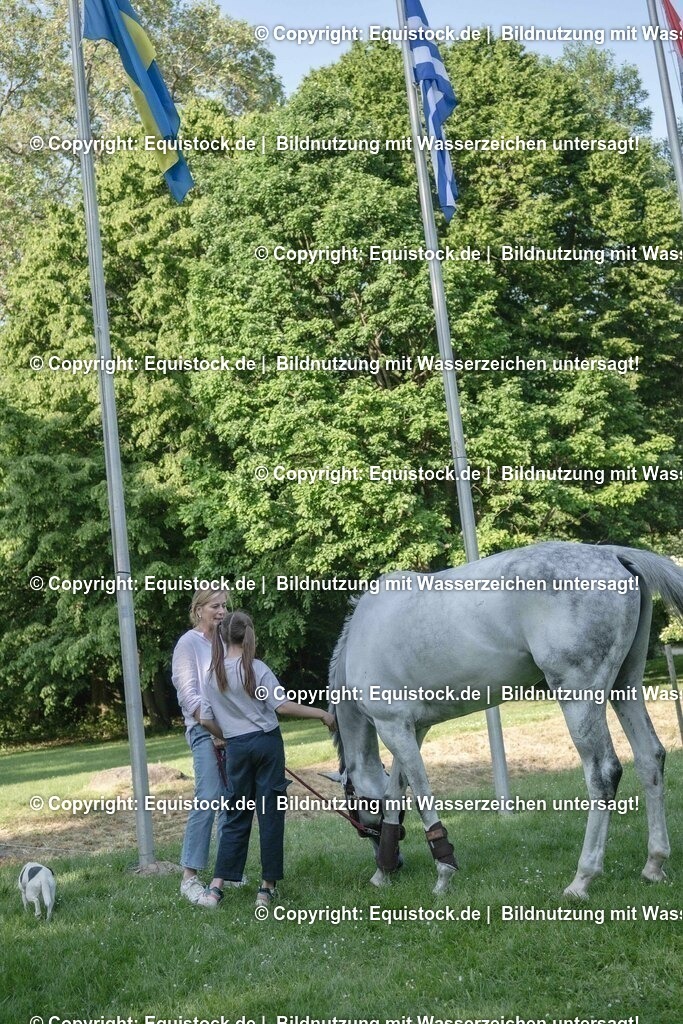 ZFC_4141 | equistock