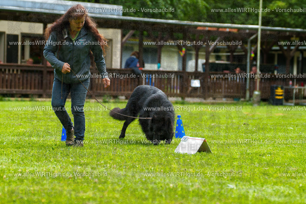 @allesWIRTHgut_Tierfotografie - www.allesWIRTHgut.de - 7R501718 | Professionelle Tierfotografie in Mönchengladbach von Daniel Wirth (allesWIRTHgut). Liebevolle & natürliche Bilder von Hunden & Katzen für unvergessliche Erinnerungen.