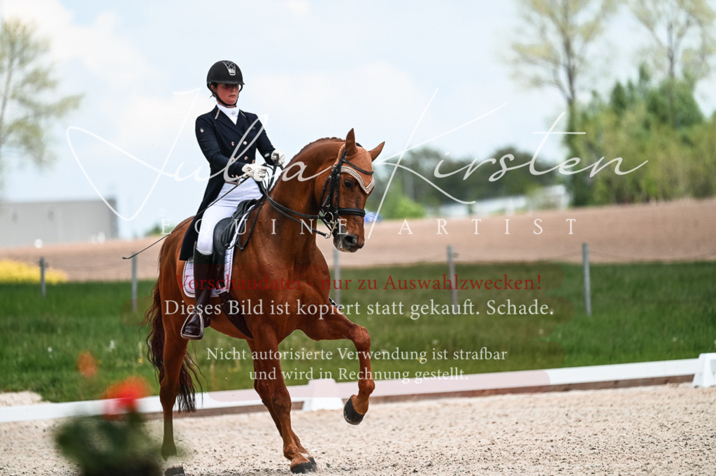 20230514_JK-Röhrsdorf-21-026 | Pferde- und Turnierfotografie in Westsachsen. Pferdeportraits, Auftragszeichnungen und intuitive Kunst.