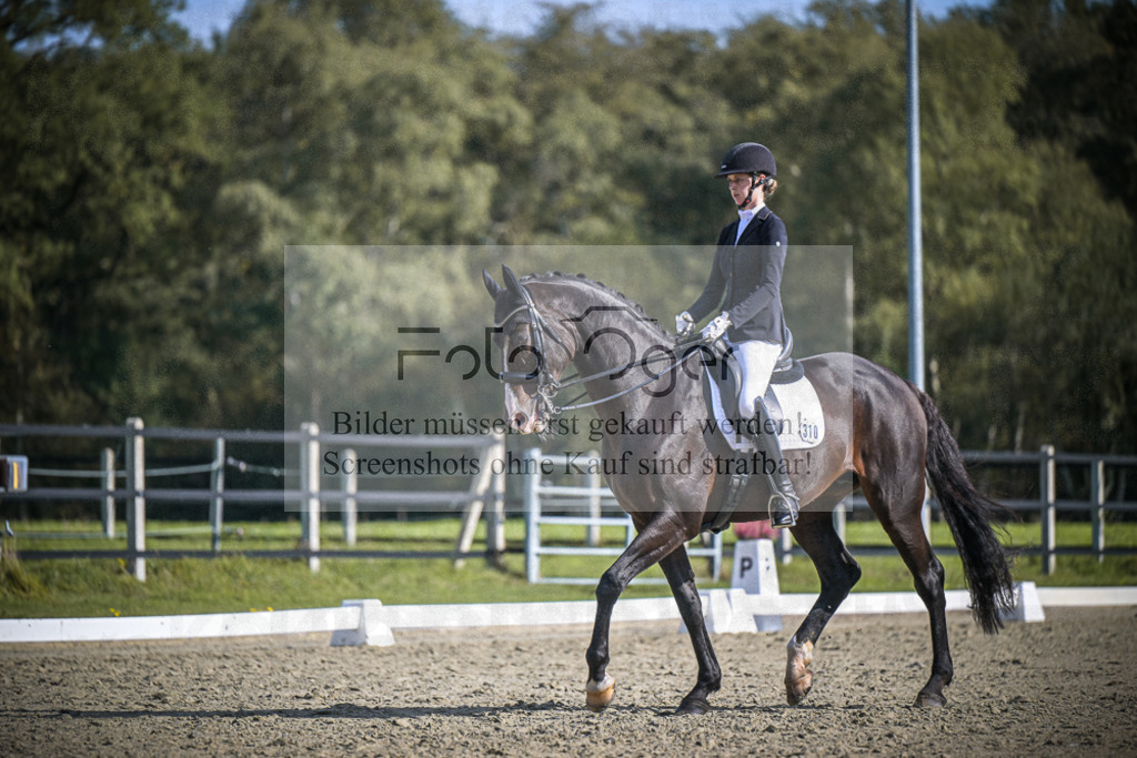 DOS_1825 | Entdecke hochwertige Reitturnierfotos von Foto Oger. Professionell, emotional und authentisch – jetzt Lieblingsmomente im Shop bestellen.Deutschlandweite Turnierfotografie. - Realisiert mit Pictrs.com
