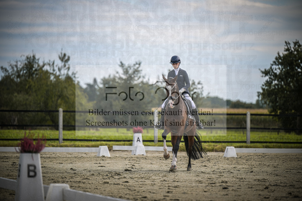 DOS_2236 | Entdecke hochwertige Reitturnierfotos von Foto Oger. Professionell, emotional und authentisch – jetzt Lieblingsmomente im Shop bestellen.Deutschlandweite Turnierfotografie. - Realisiert mit Pictrs.com