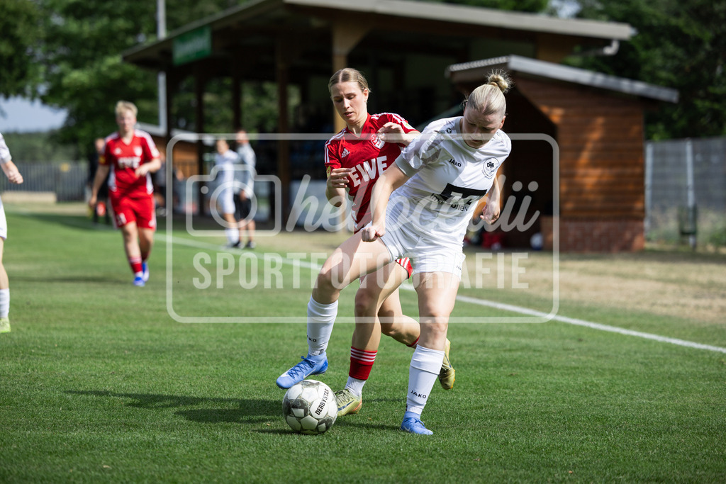 Fußball I Frauen I Testspiel I SpVg Aurich - DJK Arminia Ibbenbüren I 15256 | realhellocedii - Realisiert mit Pictrs.com