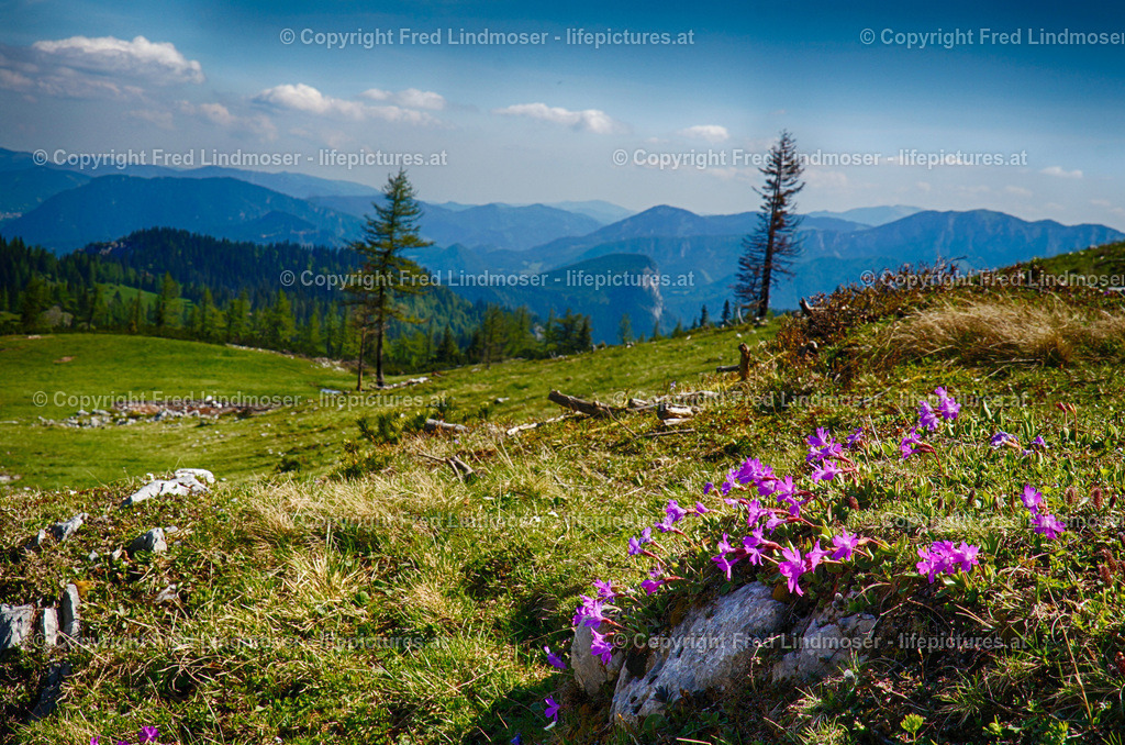 Graualm_DSC01053_HDR | Fotos und Fotoprodukte - Realisiert mit Pictrs.com