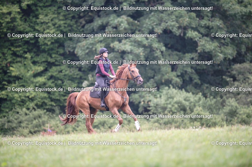 20250726_Vielseitigkeitslehrgang-Marbach_0295 | Foto: Thomas Hartig