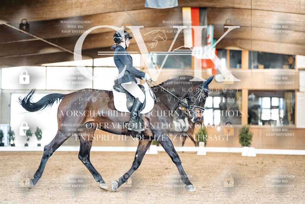 CK901371 | Turnierfotografie Pferdefotografie Trier Rheinland-Pfalz Pferdesport Reitsport Tierfotografie Sportfotografie Pferdevideo Pferdevideografie Equestrianvideography equestrianphotography  - Realisiert mit Pictrs.com