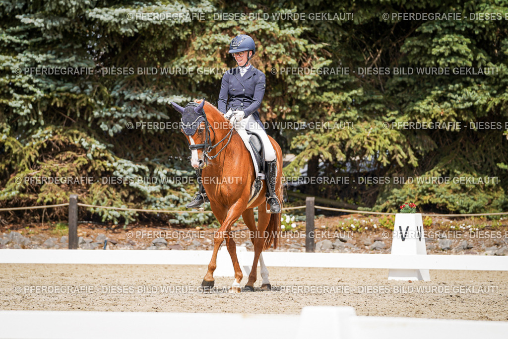 DSC06202 | Pferdegrafie