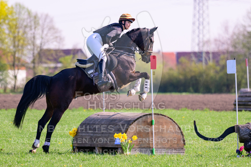 18042026-Gernlinden-03-0287 | Fokus Hufschlag Fotografie - Realisiert mit Pictrs.com