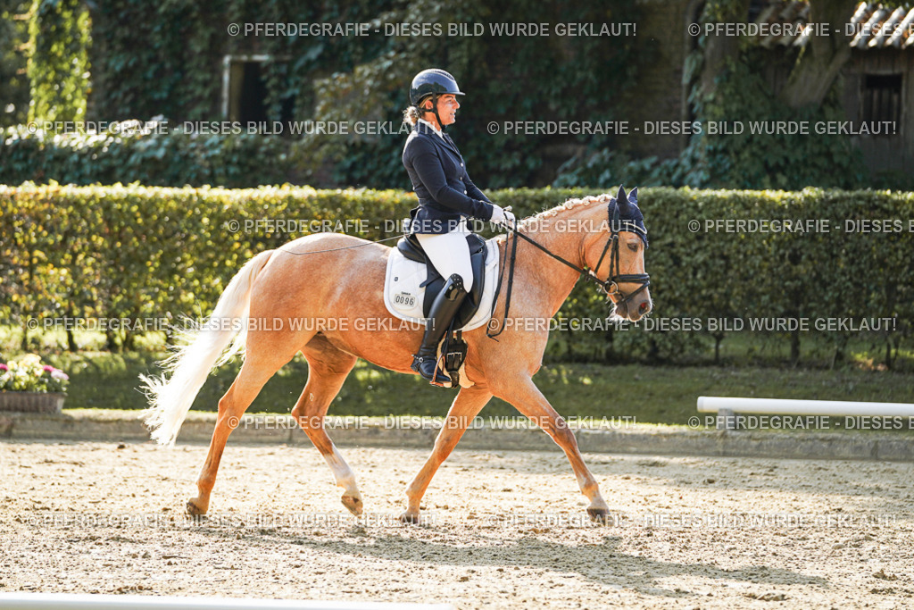 DSC05782 | Pferdegrafie