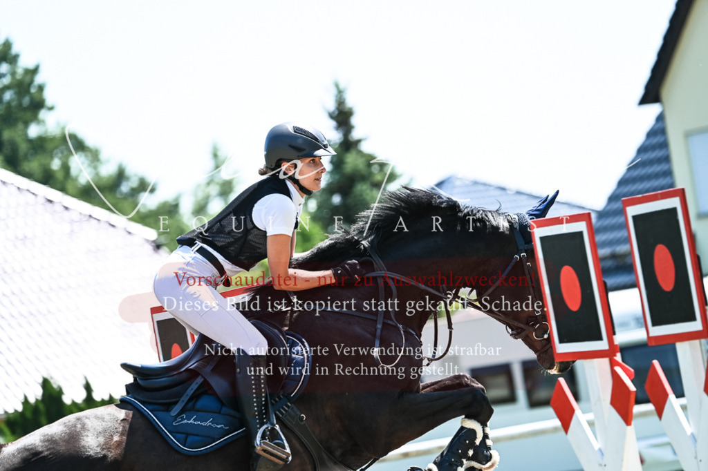 DSC_0281 | Pferde- und Turnierfotografie in Westsachsen. Pferdeportraits, Auftragszeichnungen und intuitive Kunst.