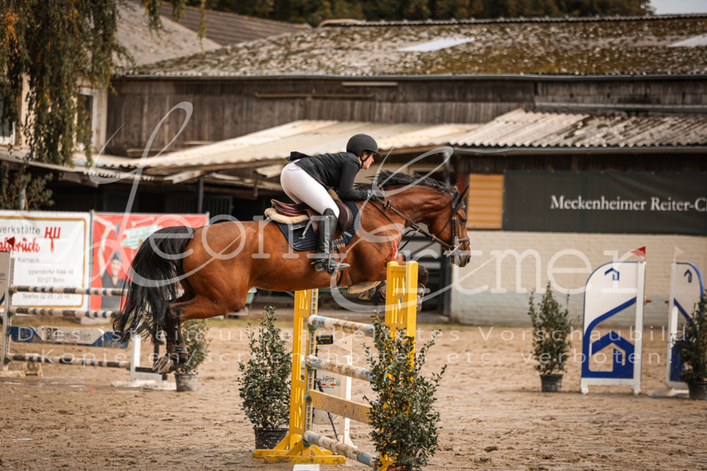 12.SaSpM00434 | Leoni Ertmer Photography - Realisiert mit Pictrs.com