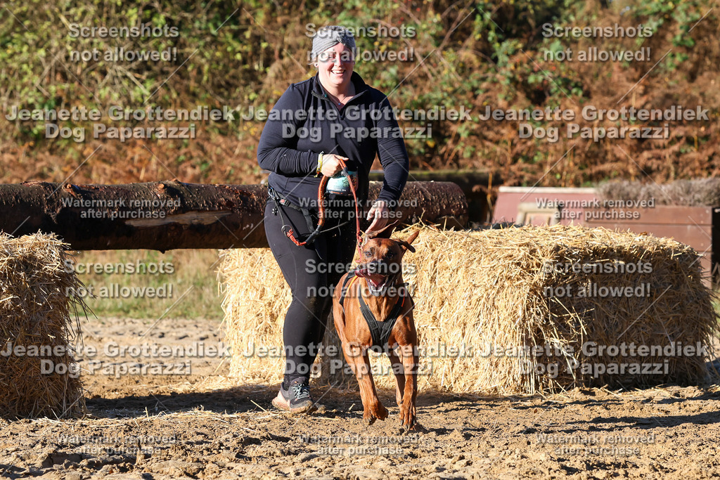 Dog Paparazzi - Strongdog 10-25-1325 | Dog Paparazzi Jeanette Grottendiek Fotografie & Videografie - Realisiert mit Pictrs.com