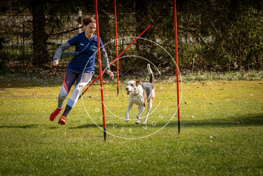 Pfotenfotografie_DV3A1880 | Hundefotografie, Tierfotograf, Pfotenfotografie, Fotoshooting Hund, Hunde Portrait, Hundesport, Hundeportraits, Heideshooting, Hunde, Sportfotograf, Hundefotograf, Turnierhundsport, THS,  - Realisiert mit Pictrs.com