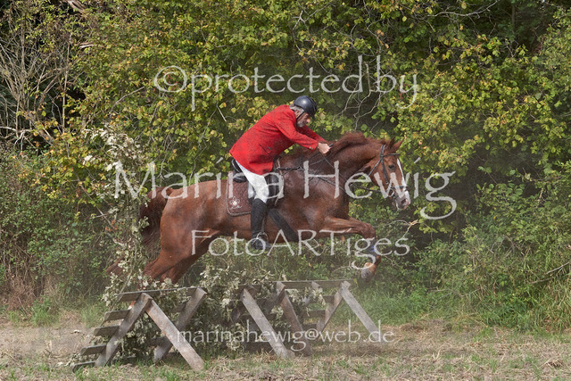 09-23 Jagd Perdöl_MCH9769_Marina Hewig | Fotografie, FotoArt, PferdesportArt, Pferdesportfotografie, Landschaftsfotografie, Reisefotografie, Reise, Pferde - Realisiert mit Pictrs.com