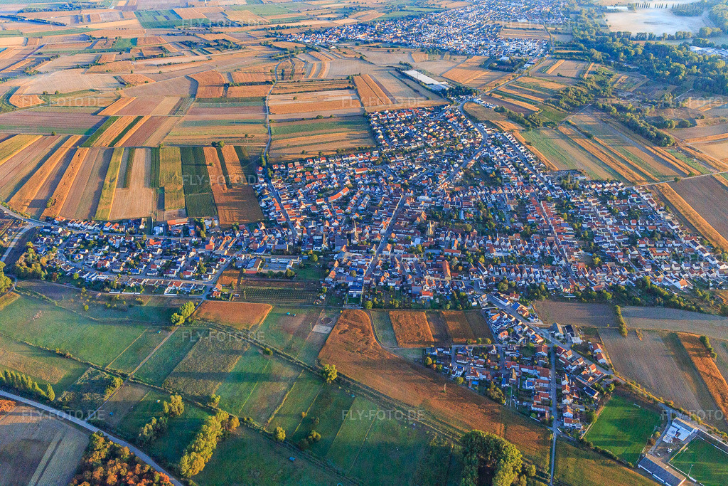 Luftbild: Ortsansicht von Süden im Ortsteil Mechtersheim in Römerberg im Bundesland Rheinland-Pfalz in Deutschland. Foto: IMG_110843.jpg vom 08.09.2018 durch Werner Riehm/FLY-FOTO.de