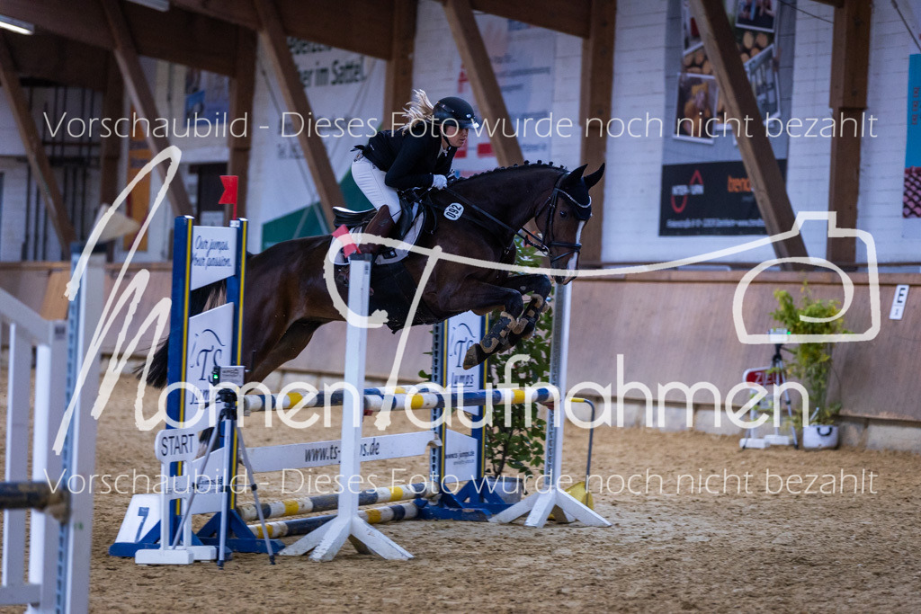 Sth-Gewöhnung-019 | MomenTaufnahmen Pferdesportfotos