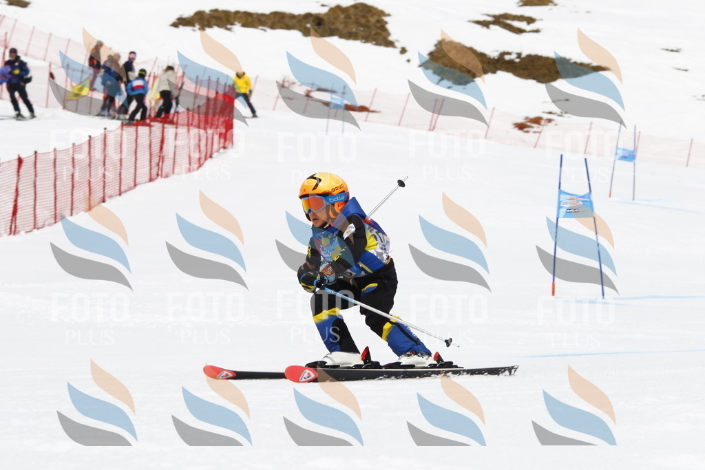 _U3G6927 | holidayphoto