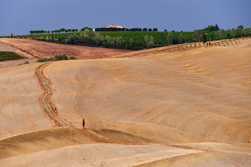 Landschaft in der Toskana | Crete, Italien - August 30, 2016: Landschaft in der Toskana. - Realisiert mit Pictrs.com