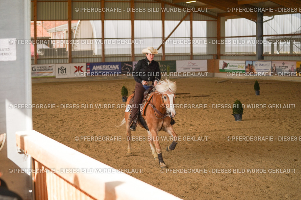 DSC02917 | Pferdegrafie