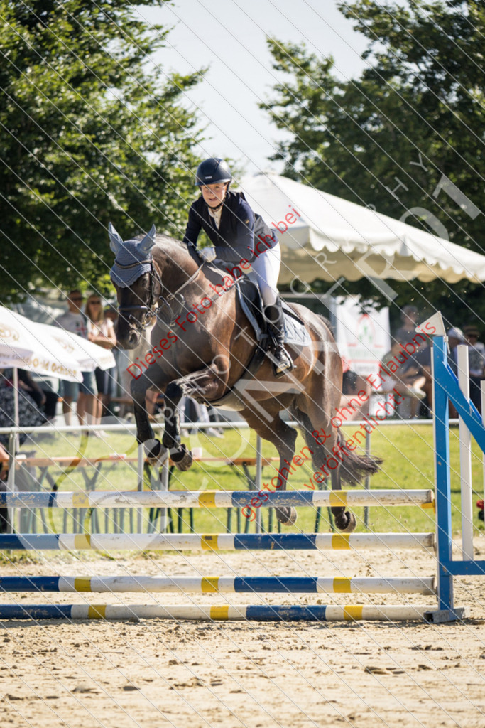 IMG_2785 | Sport-, Event- und Tierfotos in Profiqualität. Einfach auswählen, bestellen und herunterladen. Dein Moment – perfekt festgehalten.